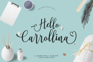 Hello Carrollina: Where Authentic Charm Meets Modern Design
